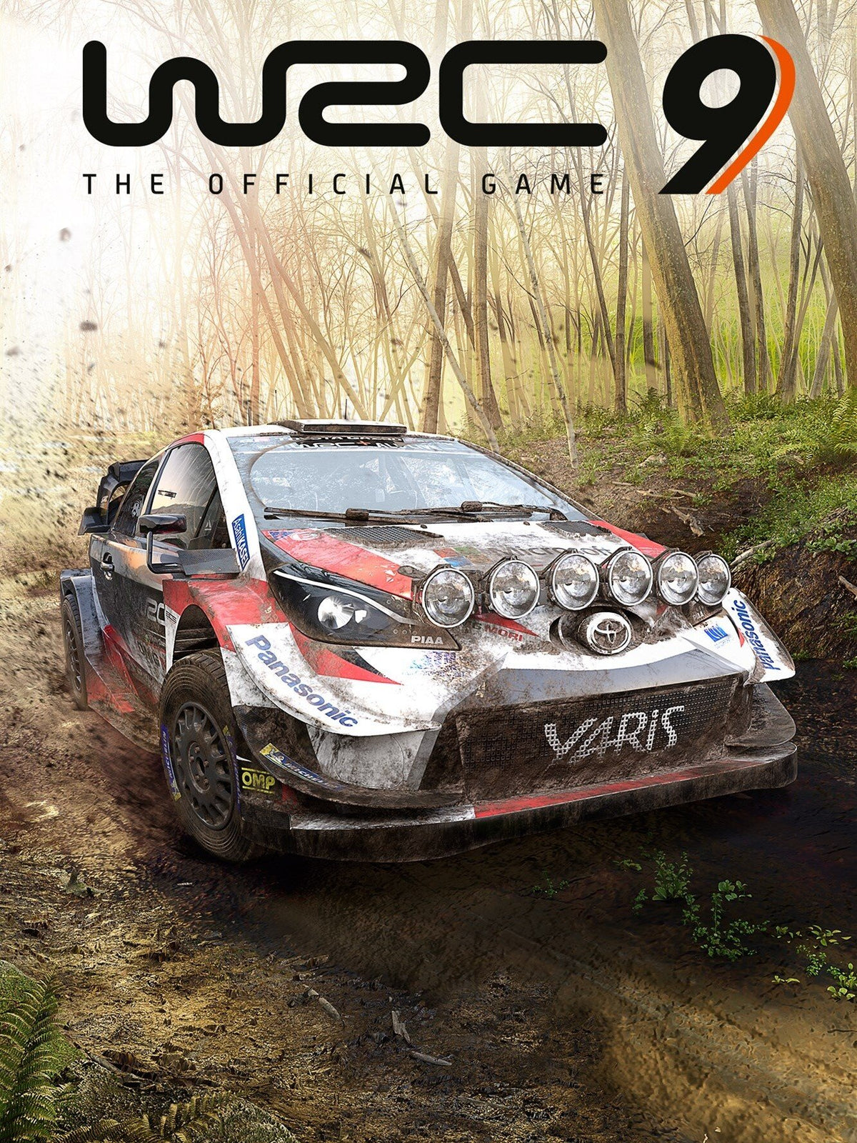 WRC 9 FIA World Rally Championship Deluxe Edition