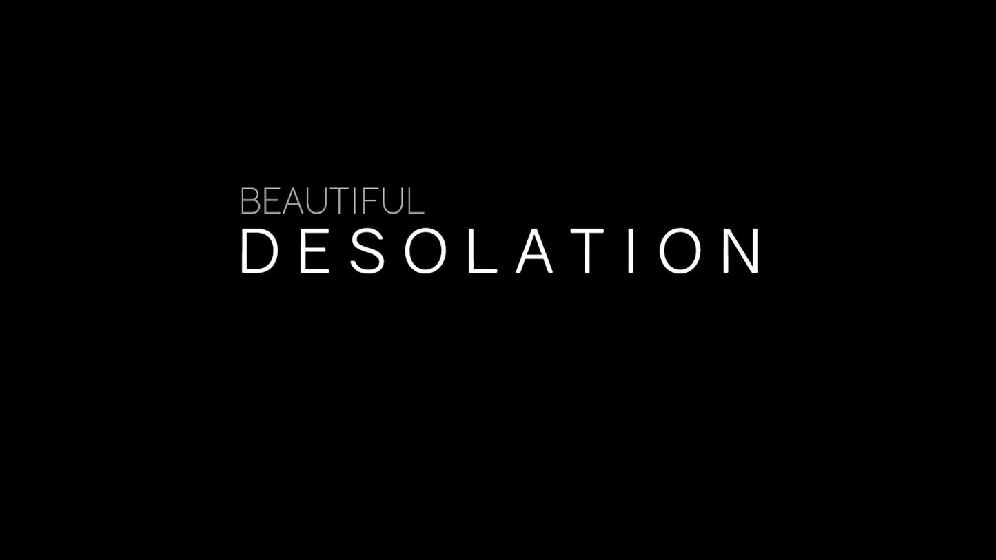 BEAUTIFUL DESOLATION