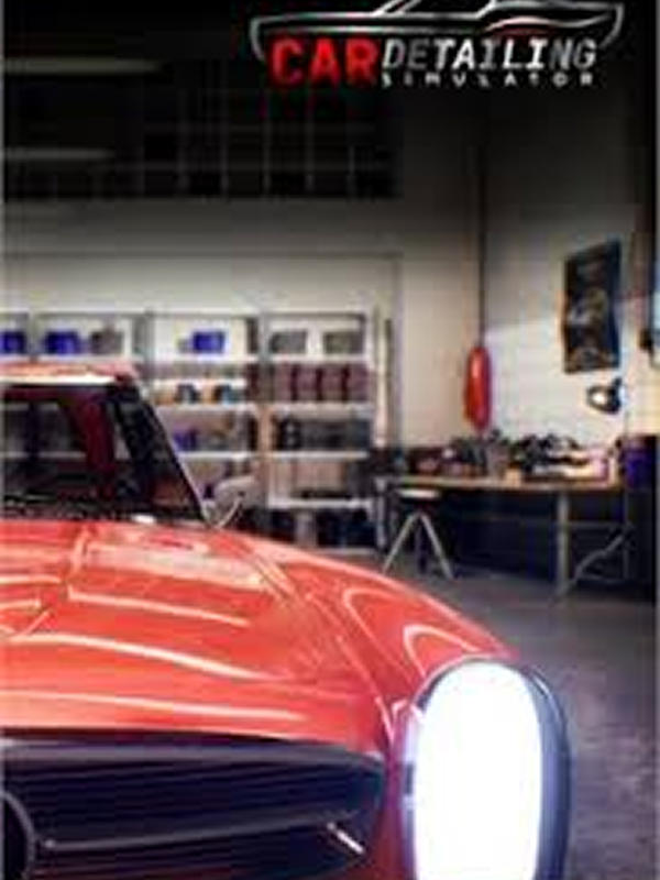 Car Detailing Simulator