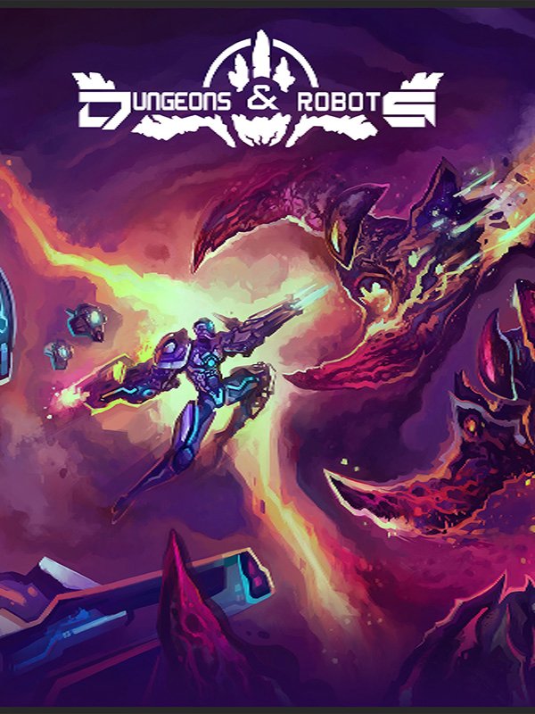 Dungeons and Robots