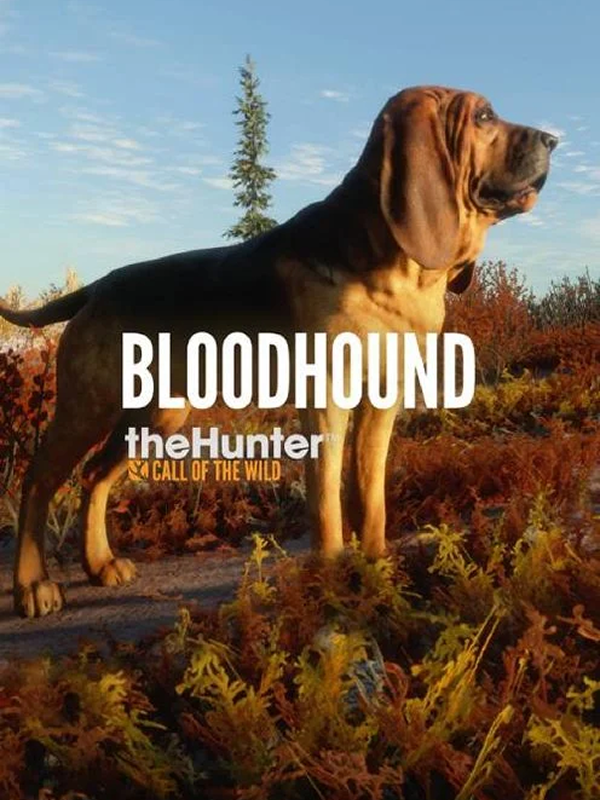 theHunter: Call of the Wild - Bloodhound DLC