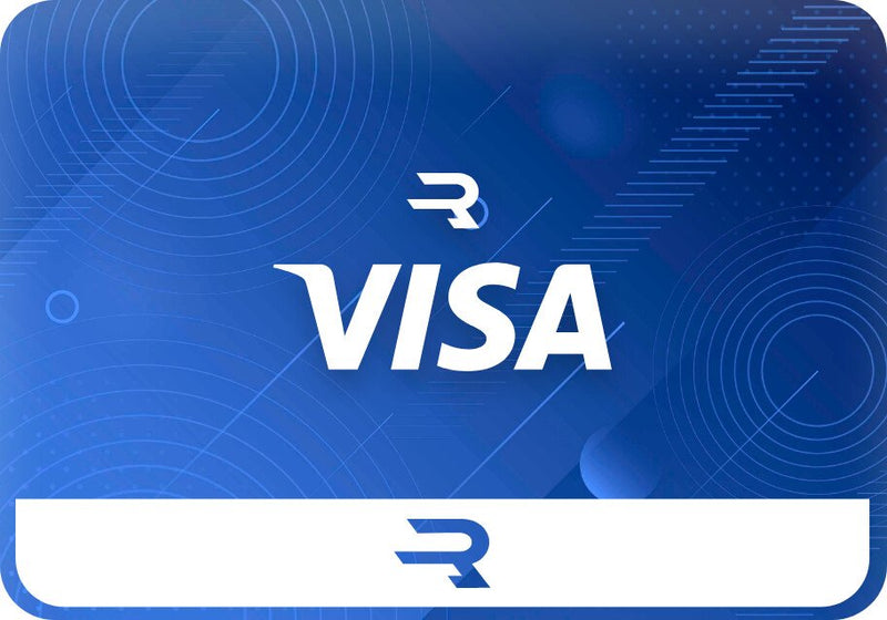 VISA USA 100 USD