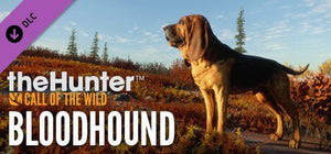 theHunter: Call of the Wild - Bloodhound