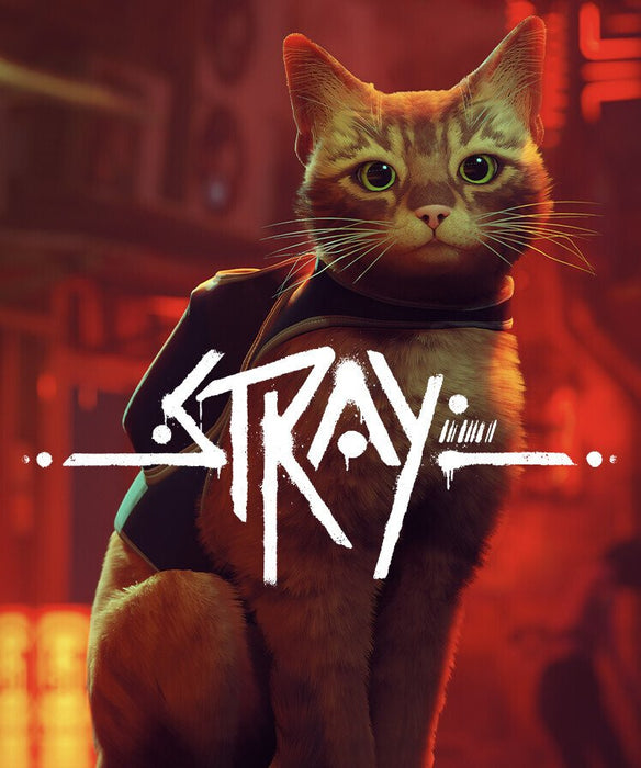 Stray