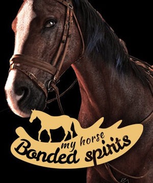 My Horse: Bonded Spirits