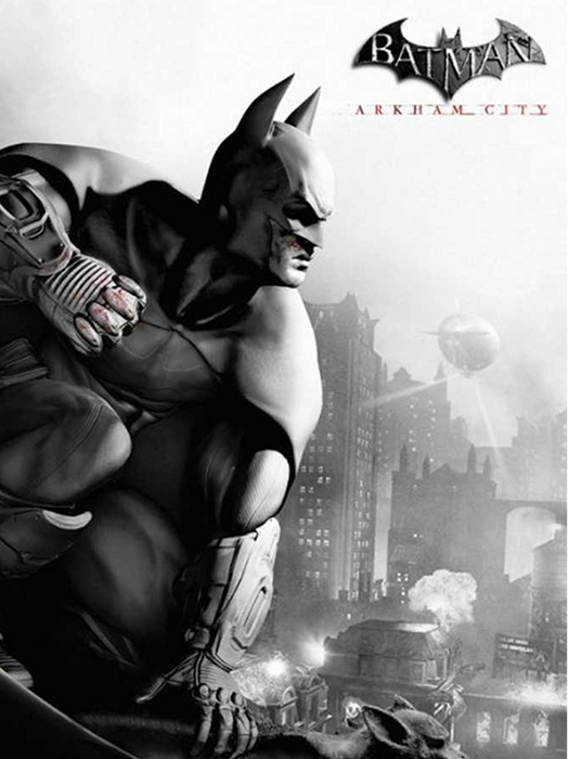 Batman Arkham City GOTY