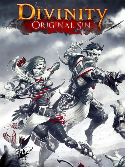 Divinity: Original Sin Enhanced Edition Collector's Edition