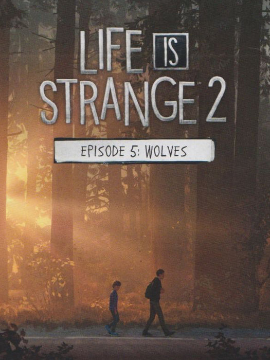 Life is Strange 2 - Episode 5