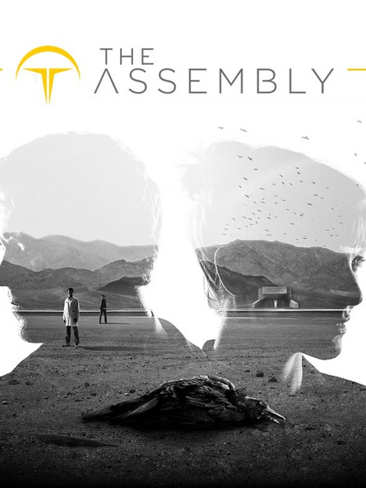 The Assembly
