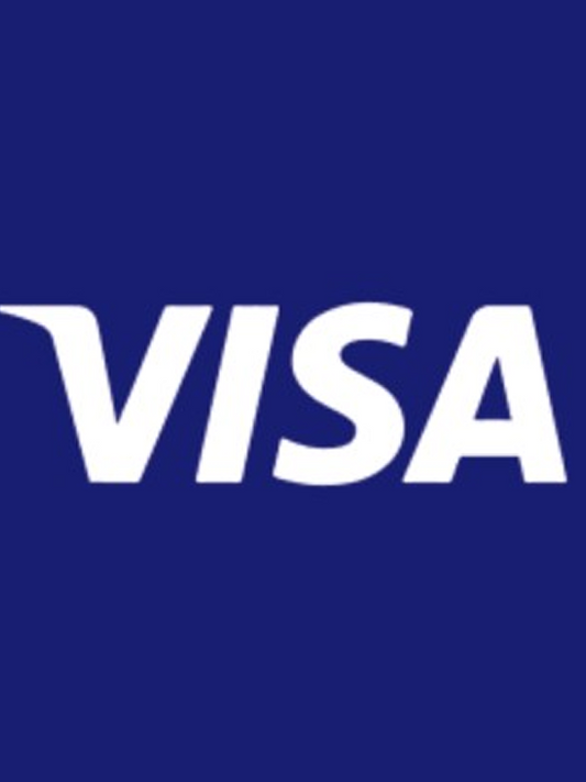 Visa USA 15 USD