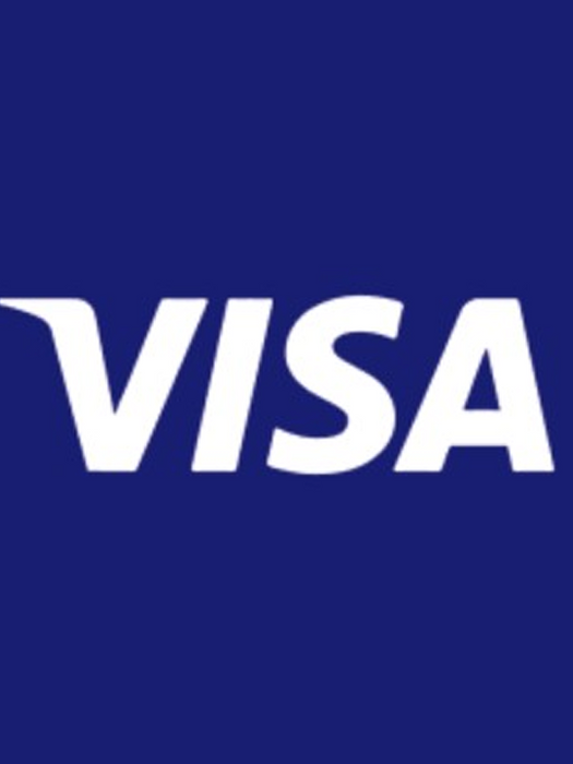Visa USA 15 USD