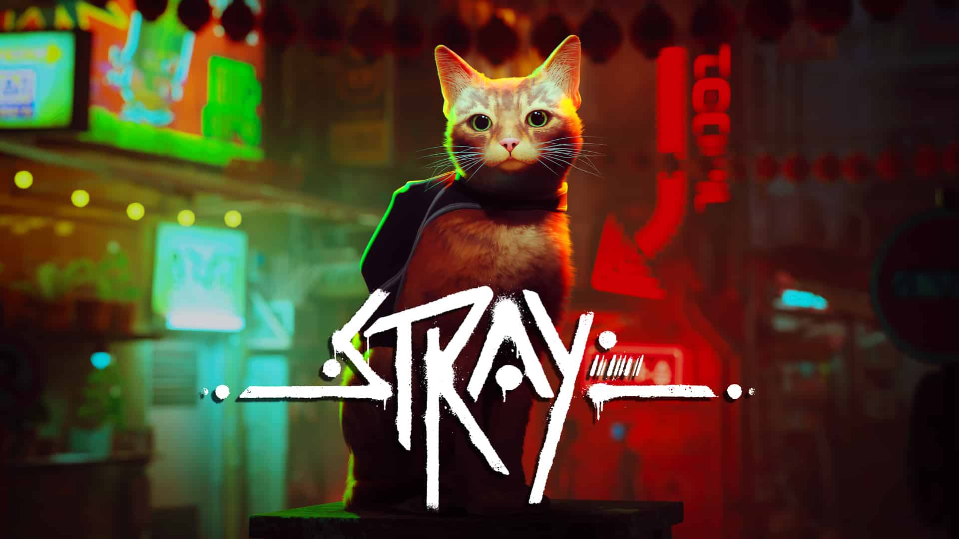 Stray Review – One Of The Best Games Of 2022?